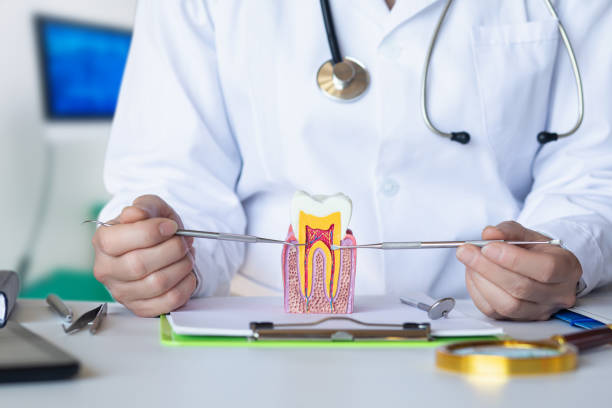 Best Broken or Chipped Tooth Repair in Wildwood, FL